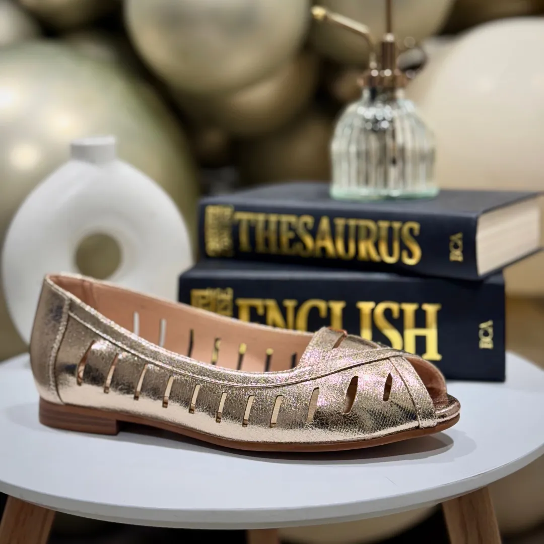 elegant design Zanni & Co Womens Shoe Ishikari Gold Sparkle