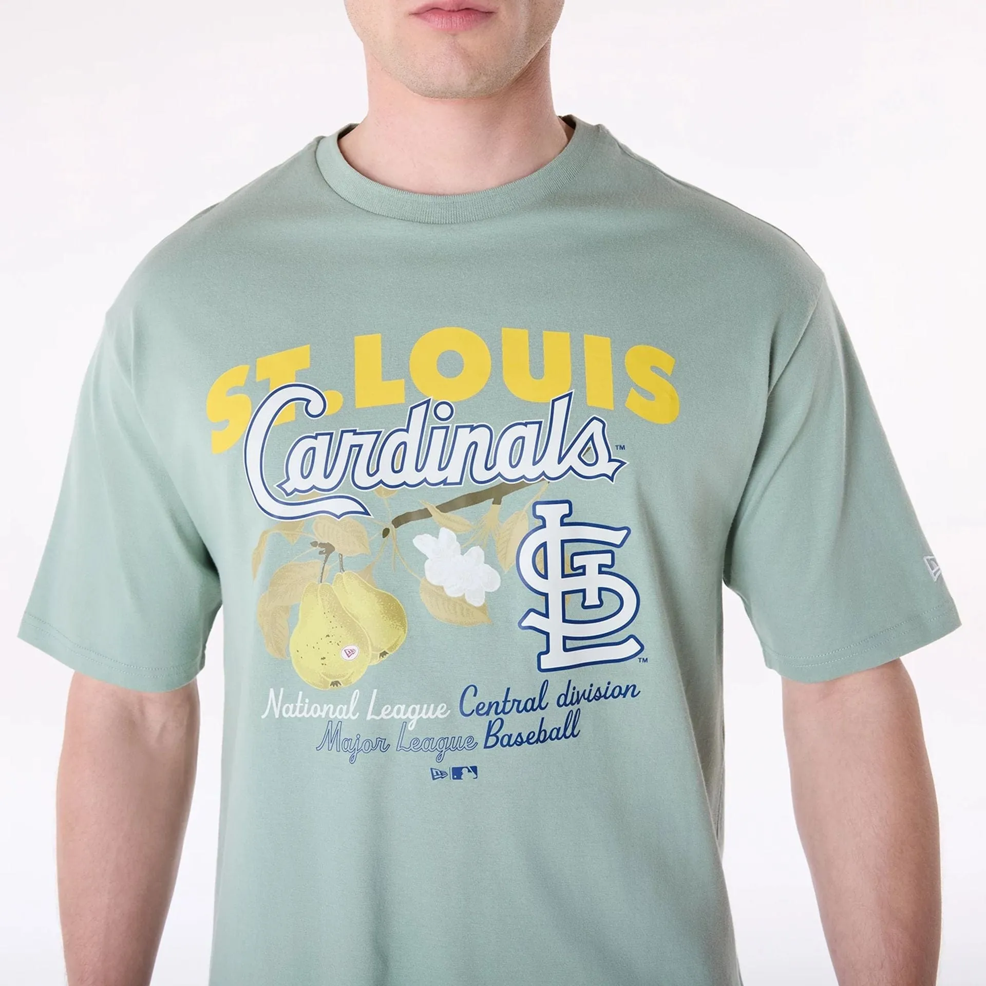 Striped modernity Drip Dry Fabric St. Louis Cardinals MLB Fruit Pastel Green T-Shirt