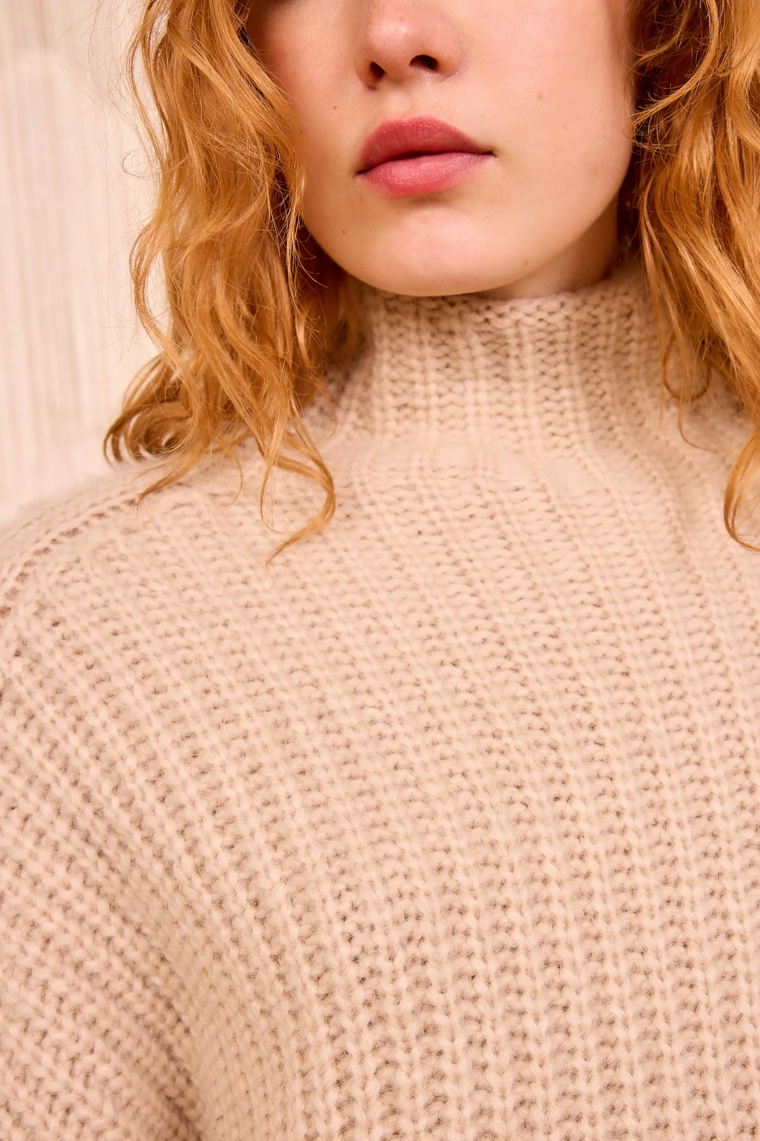 Veron Alpaca Knit Turtleneck - Dune Opaque Tone