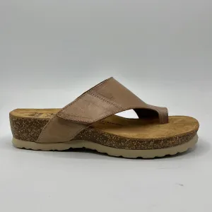 Wanda Panda Tenma Anatomical Contour Design